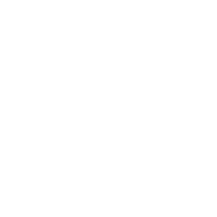 SEB
